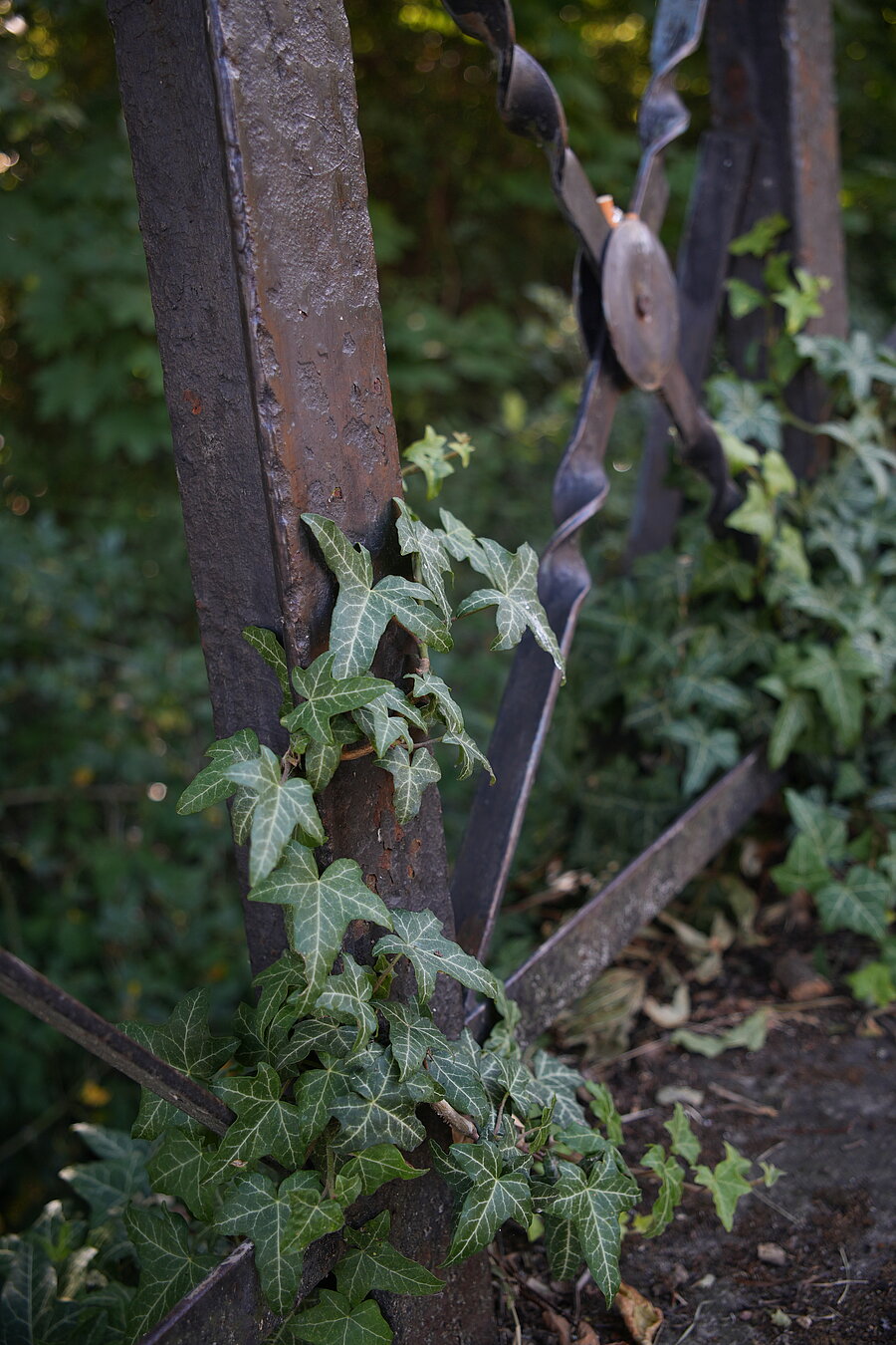 Brücke am Zollrain, Geländer, Metall, Block, Natur, Schotterweg
