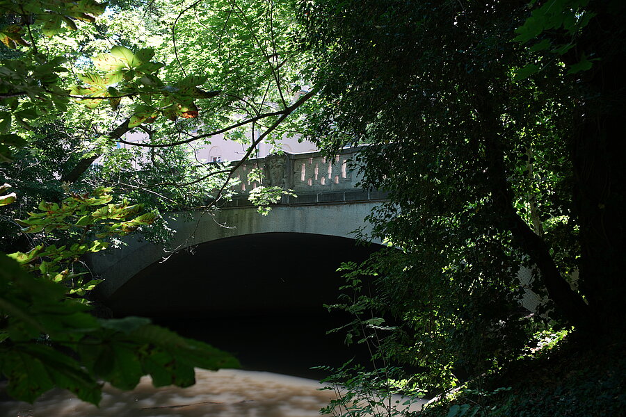 Steinmühlenbrücke, Reling, Steinbrücke, Brüstung, Halle, Natur