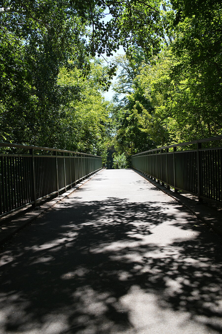 Dreierbrücke, Draufsicht, Fußgängerweg, Spaziergang, Bäume, Wald, idyllisch, Sonnenstrahle