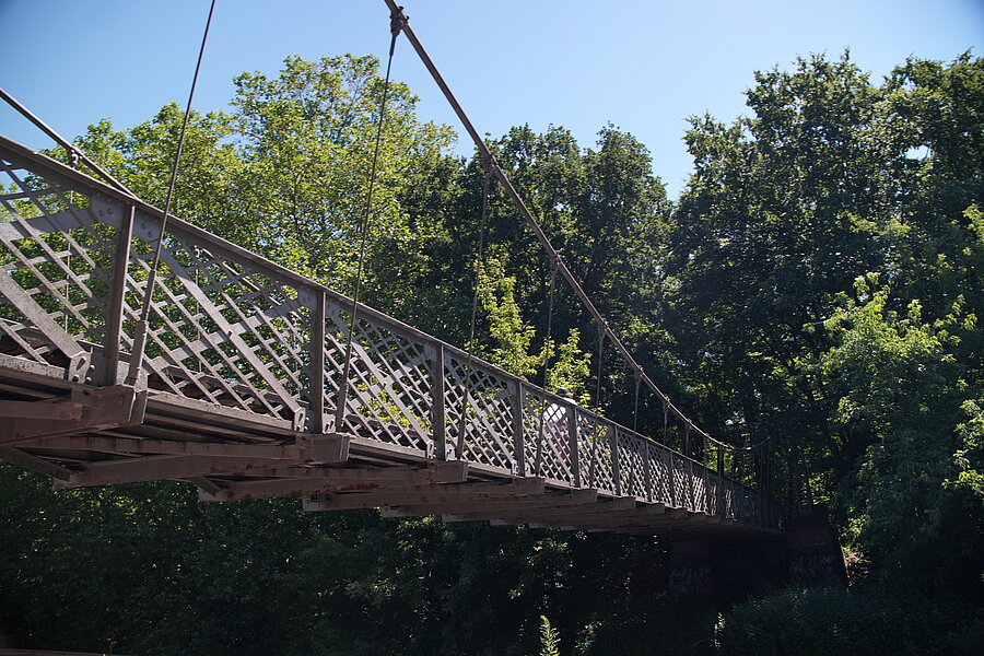 Schwanenbrücke, Peißnitz, Grün, Park, Spaziergang, Natur, Saale