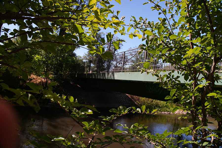 Mühlgrabenbrücke, Halle, Seitenansicht, Reling aus Metall, Ufer, Fluss, Bäume