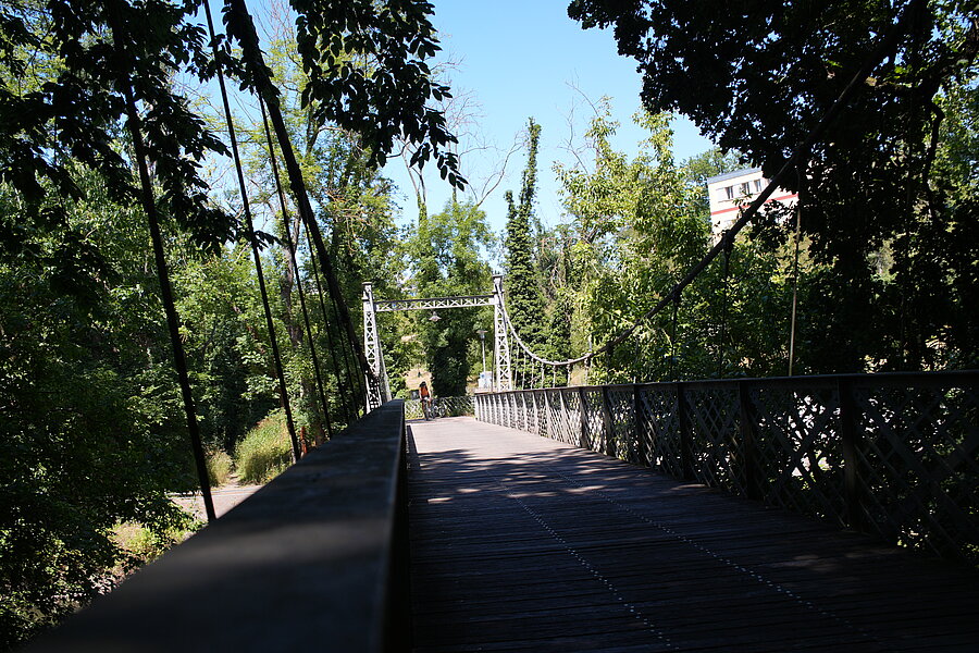 Schwanenbrücke, Peißnitz, Grün, Park, Spaziergang, Natur, Saale
