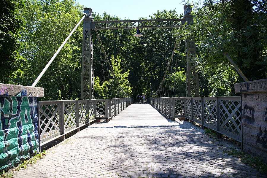 Schwanenbrücke, Peißnitz, Grün, Park, Spaziergang, Natur, Saale