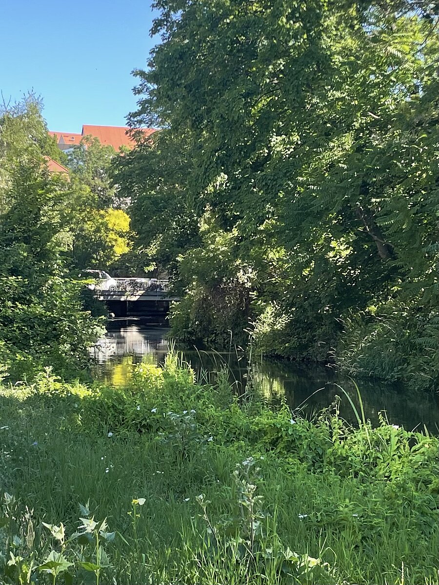 Mühlpfortenbrücke, Straße, Innenstadt, Grün, Natur, Schatten, Sonnenspiel, Flusslauf