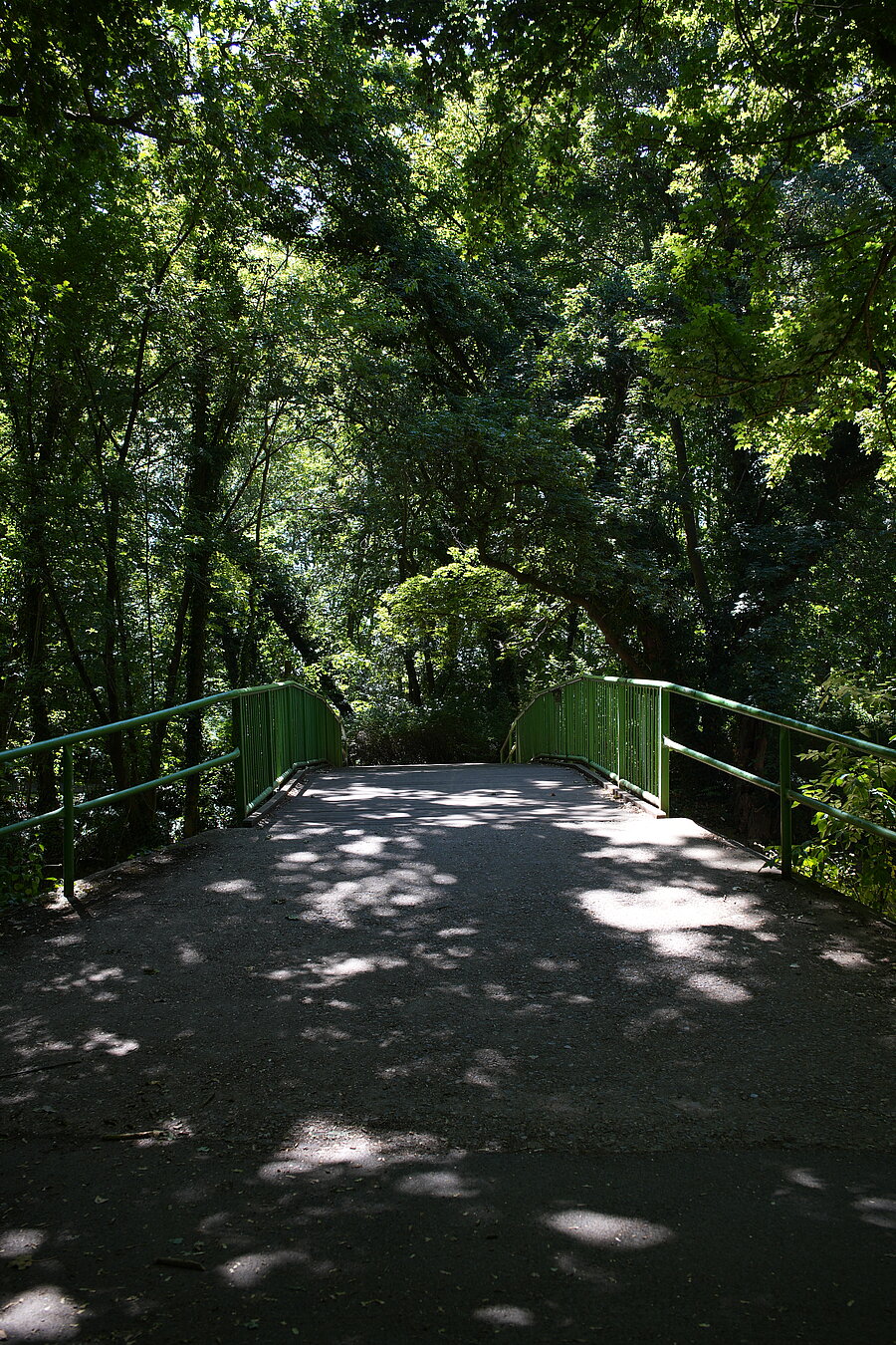 Schafbrücke, Natur, Halle, Verbindung, Fluss, Gehweg, spaziergang