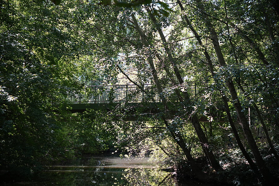 Dreierbrücke, Seitenansicht, Bäume, Wald, idyllisch, Sonnenstrahle