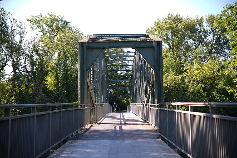 Hafenbahnbrücke, Spaziergang, Grün, Natur, Fluss, Fußgänger