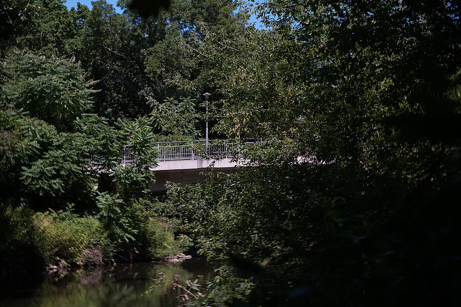 Gutsbrücke, Halle, Sonne und Grün, Verbindung, Natur