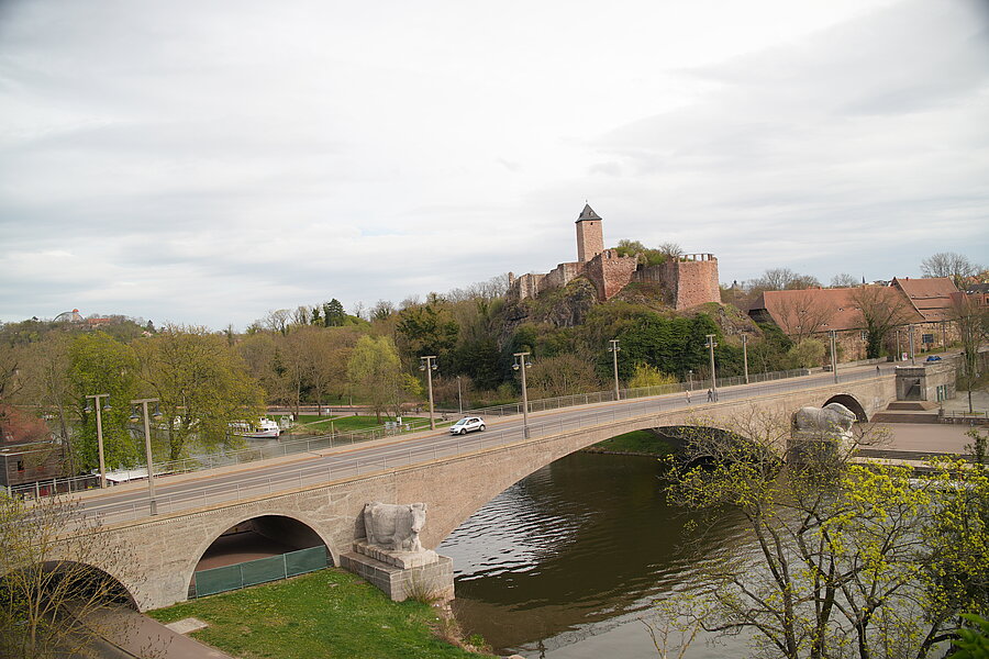Kröllwitzer Brücke, Brückenbogen, Kuh, Pferd, Burg Giebichenstein, Vogelperspektive